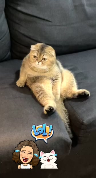 @kkkkkkkkkl