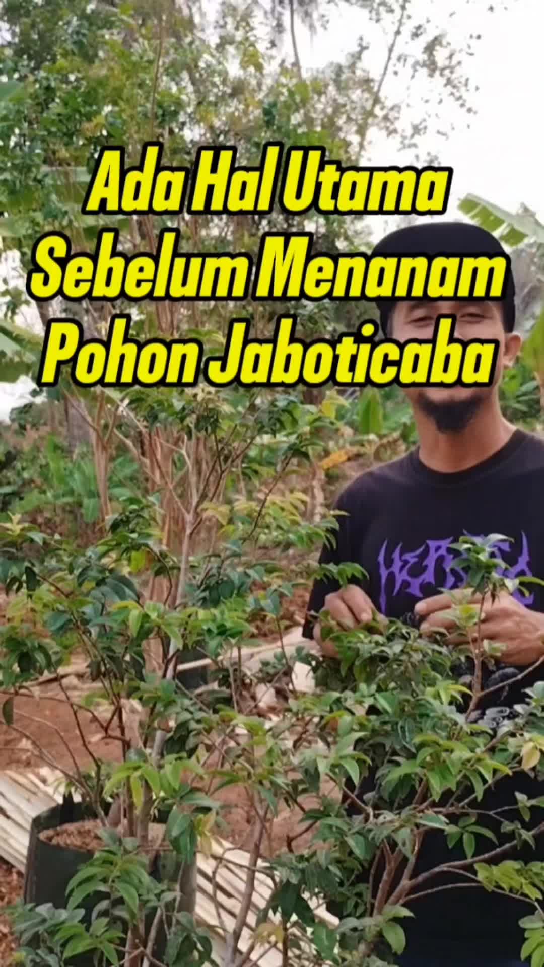 @Bukit Farming