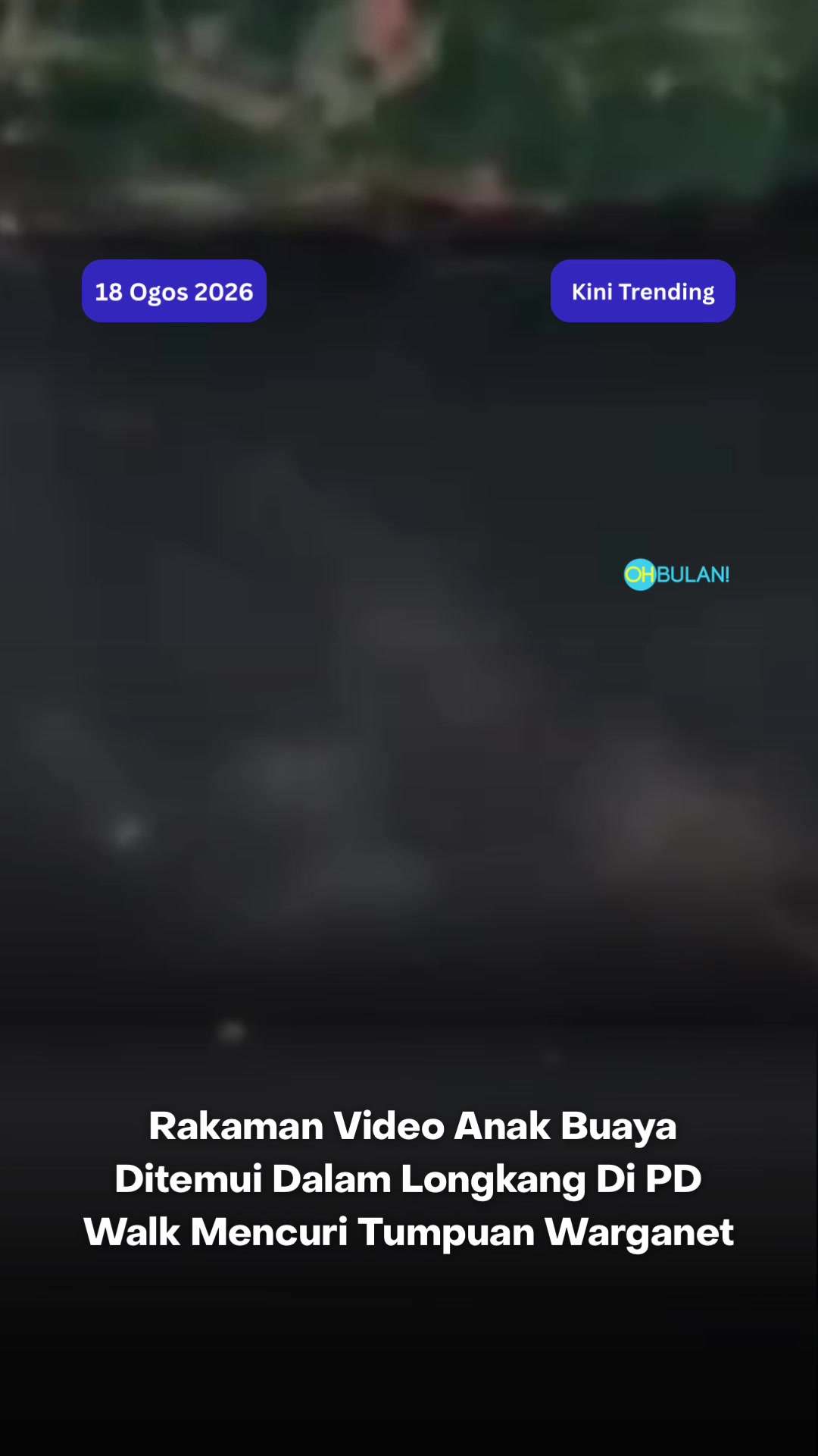 @OHBULAN!
