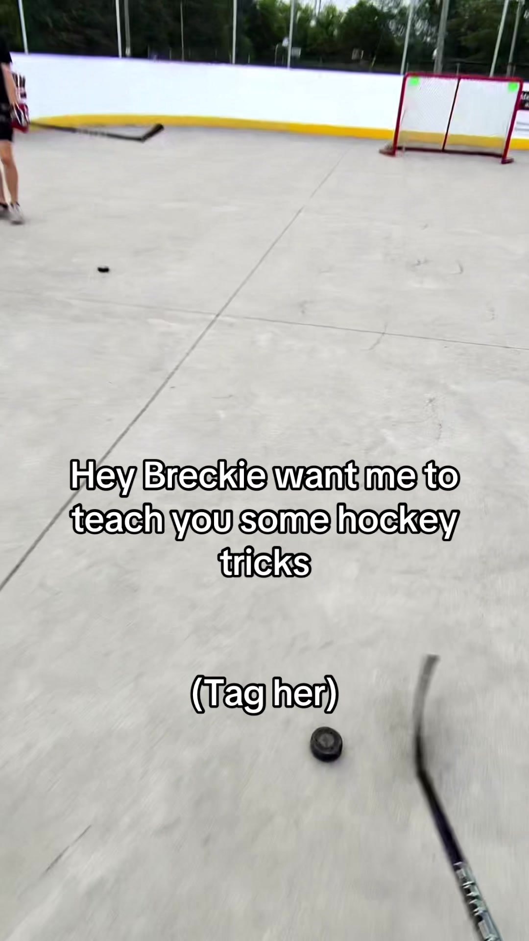 @Hockey Legend