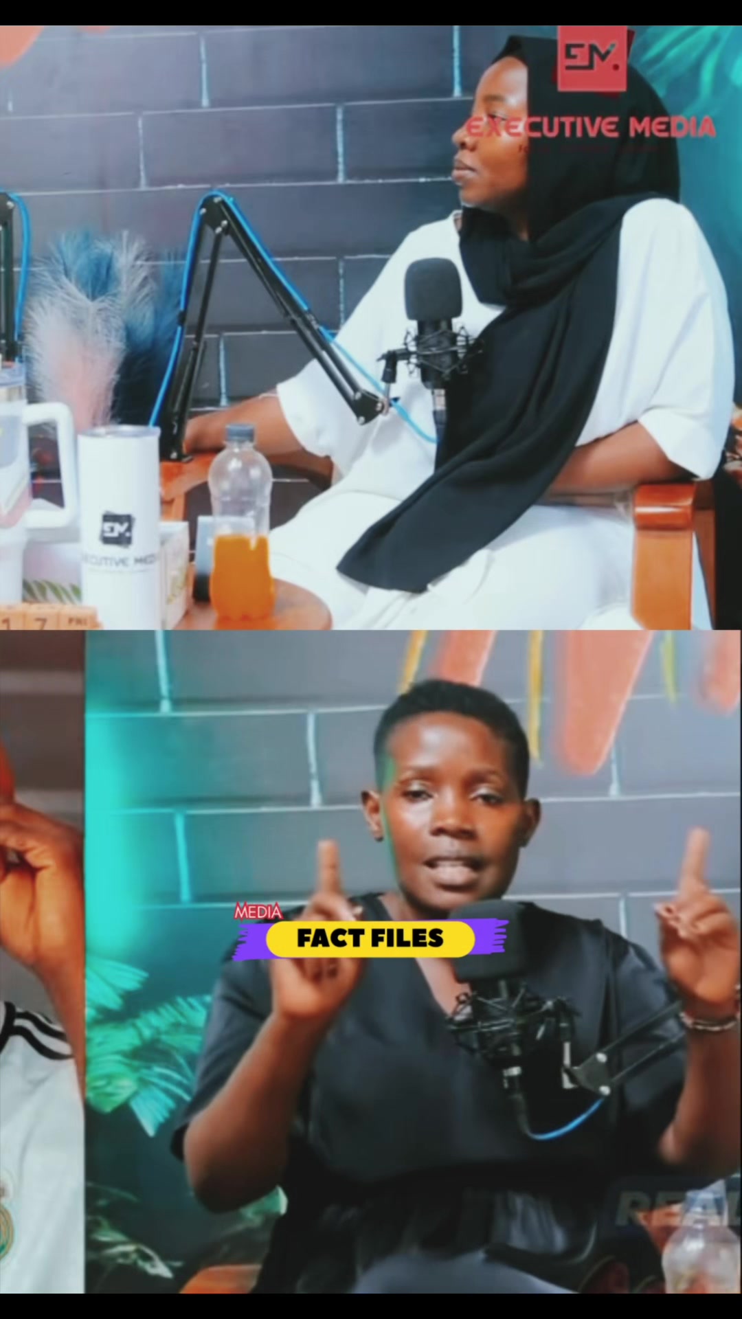 @FactFilesMedia
