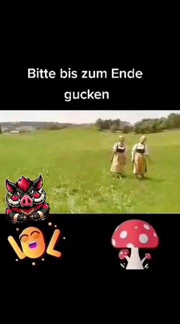 @🐗Fr&auml;nkischer-Rampen- Eber🐗