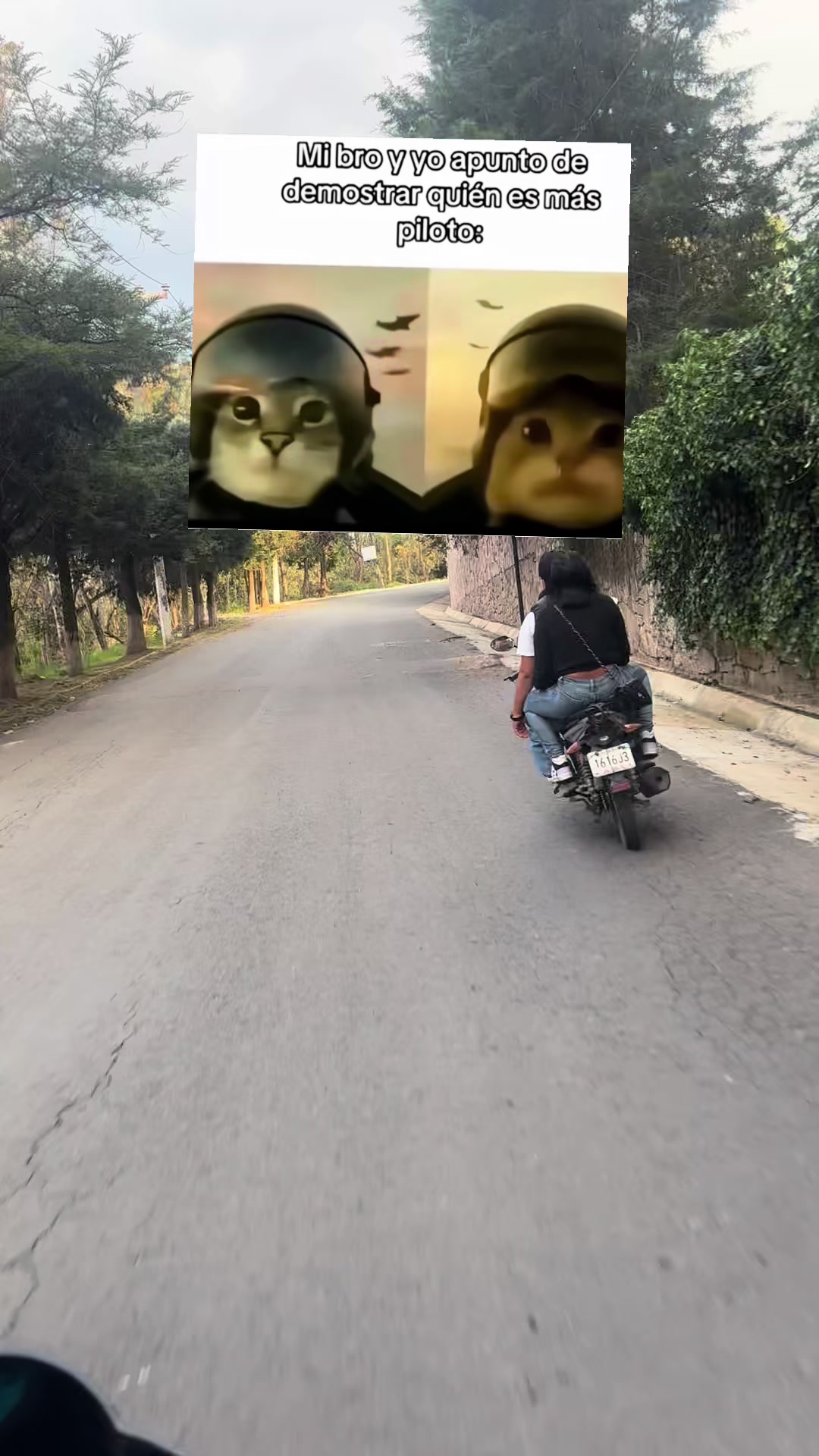 @ANGELSH