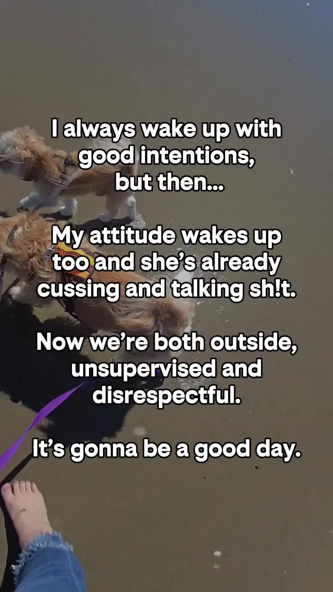 @Gizzy and Teddy Bear