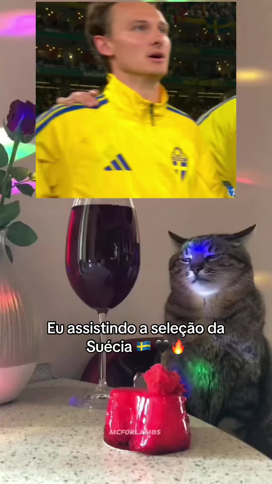 @A Paulla Bitten 🔮