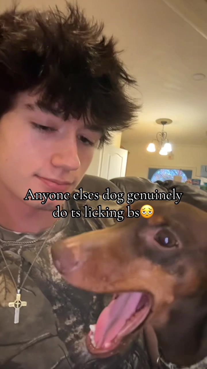 @sjsayso