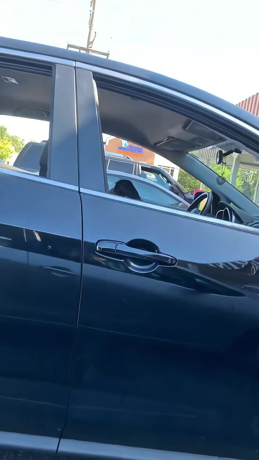 @funnyvideo3782