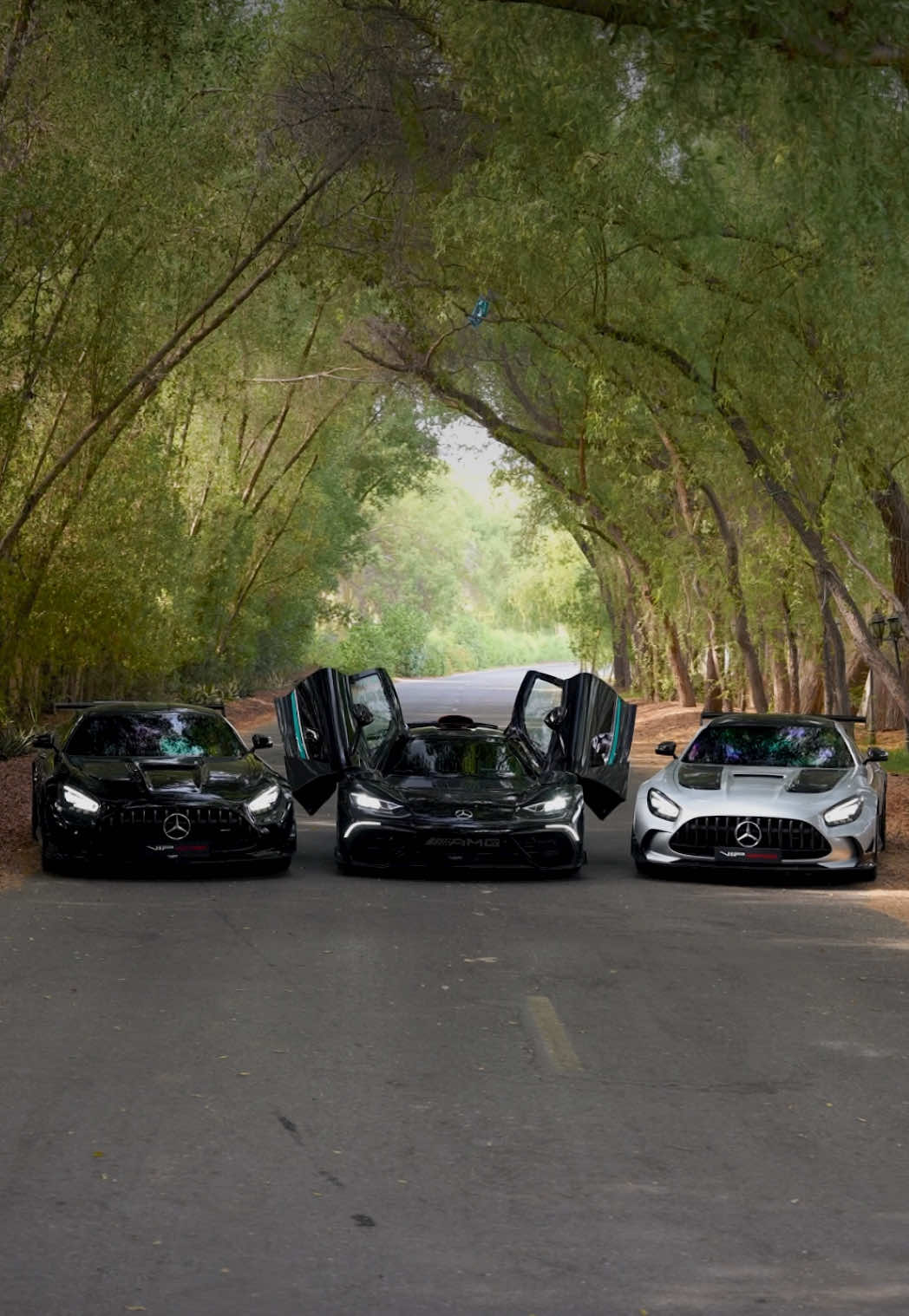 @VIP Motors