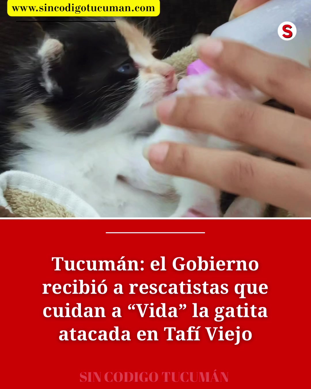 @SIN_CODIGO_TUCUMAN
