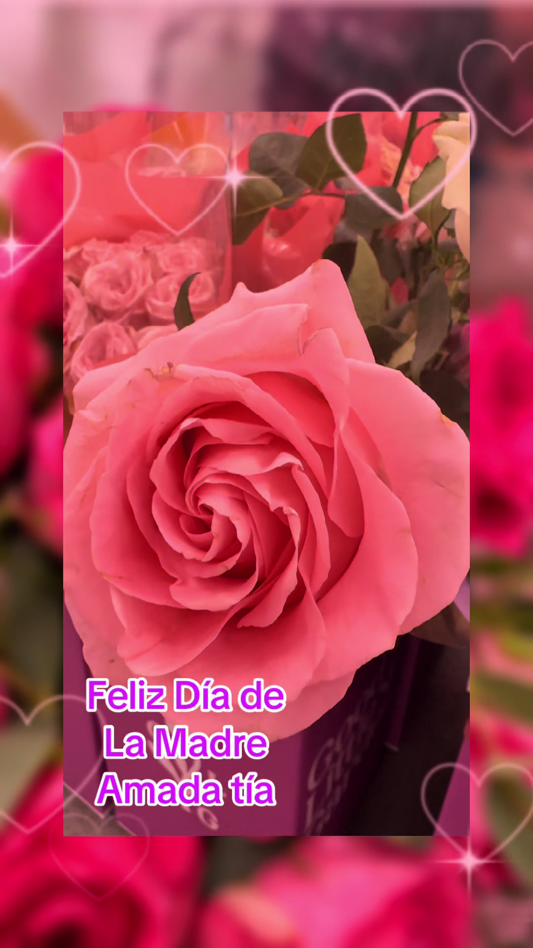@Jade8A@1691 🍒 🍷