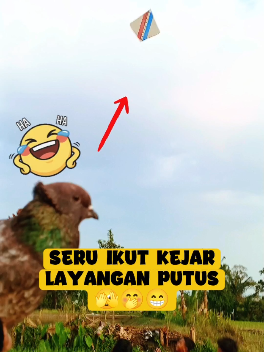 @BANG LEYON