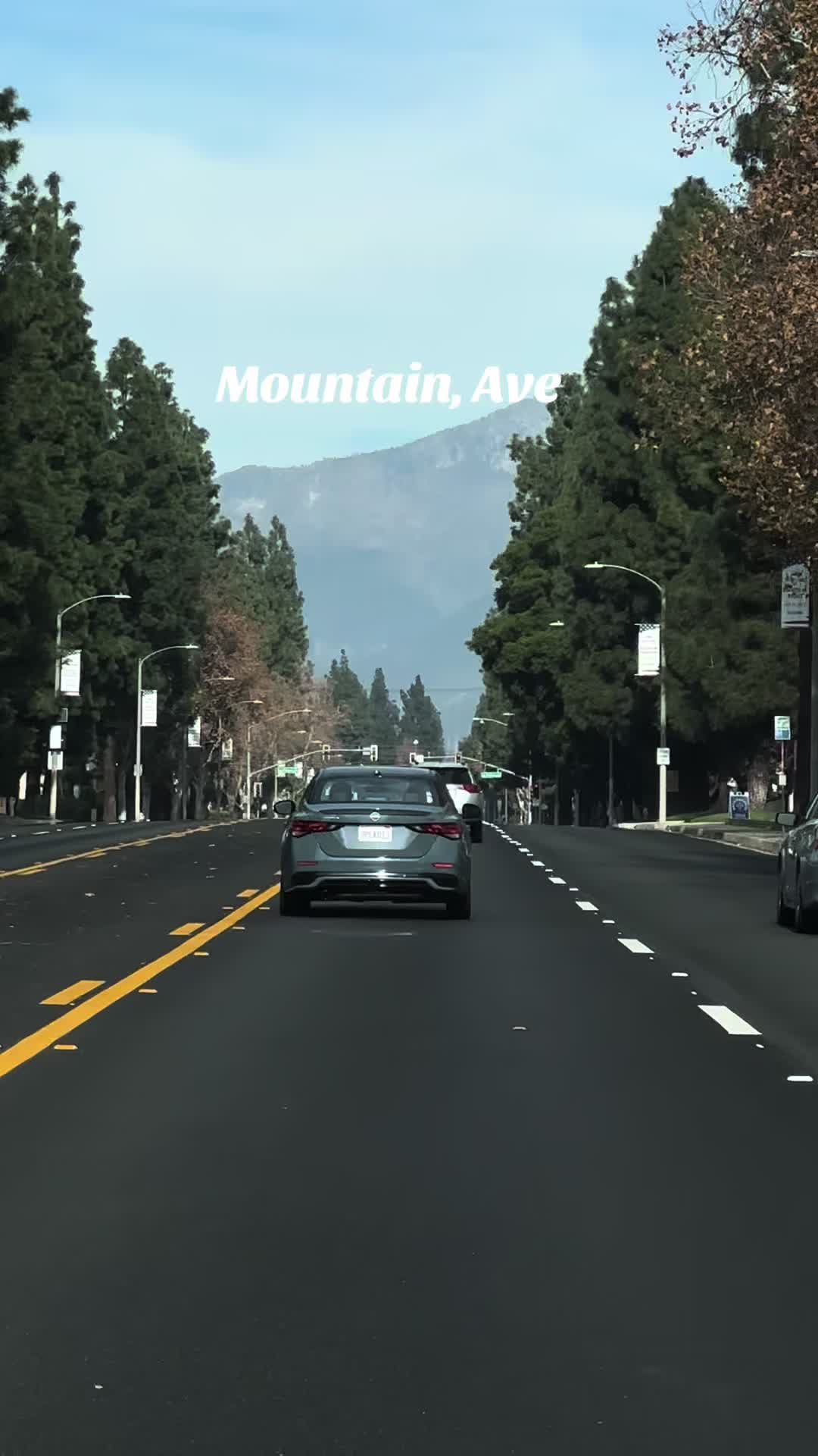 @Pacificone