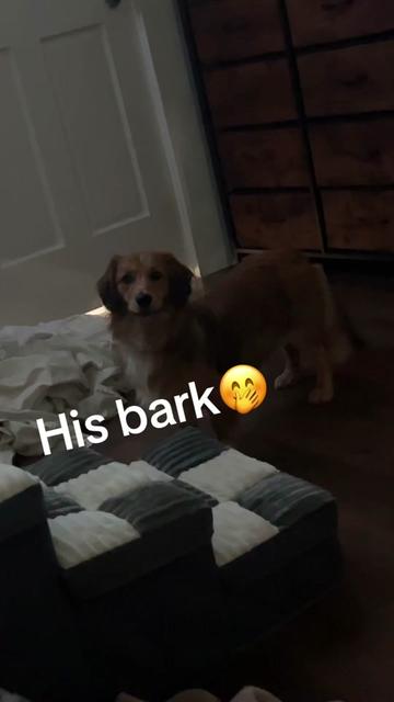 @HerPinkSide💕