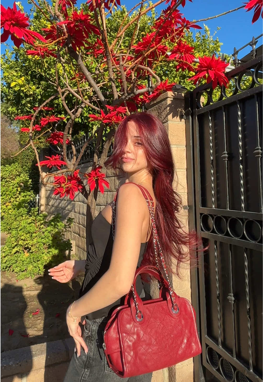 @janetabramian