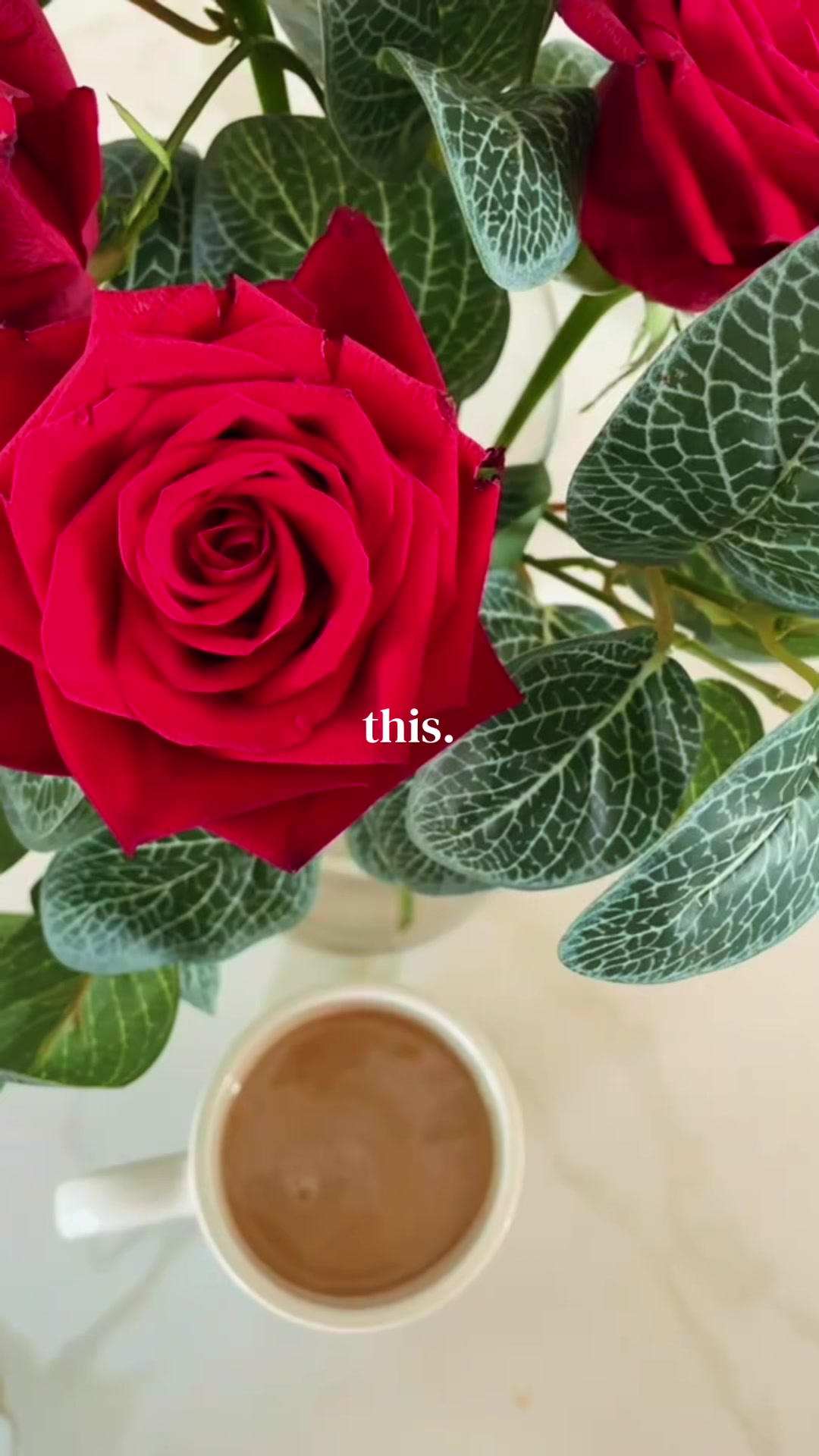 @𝕊𝕚❁ᥫ᭡𝔽𝕝𝕦𝕗𝕗𝕪ℂ𝕠𝕣𝕣𝕒𝕝