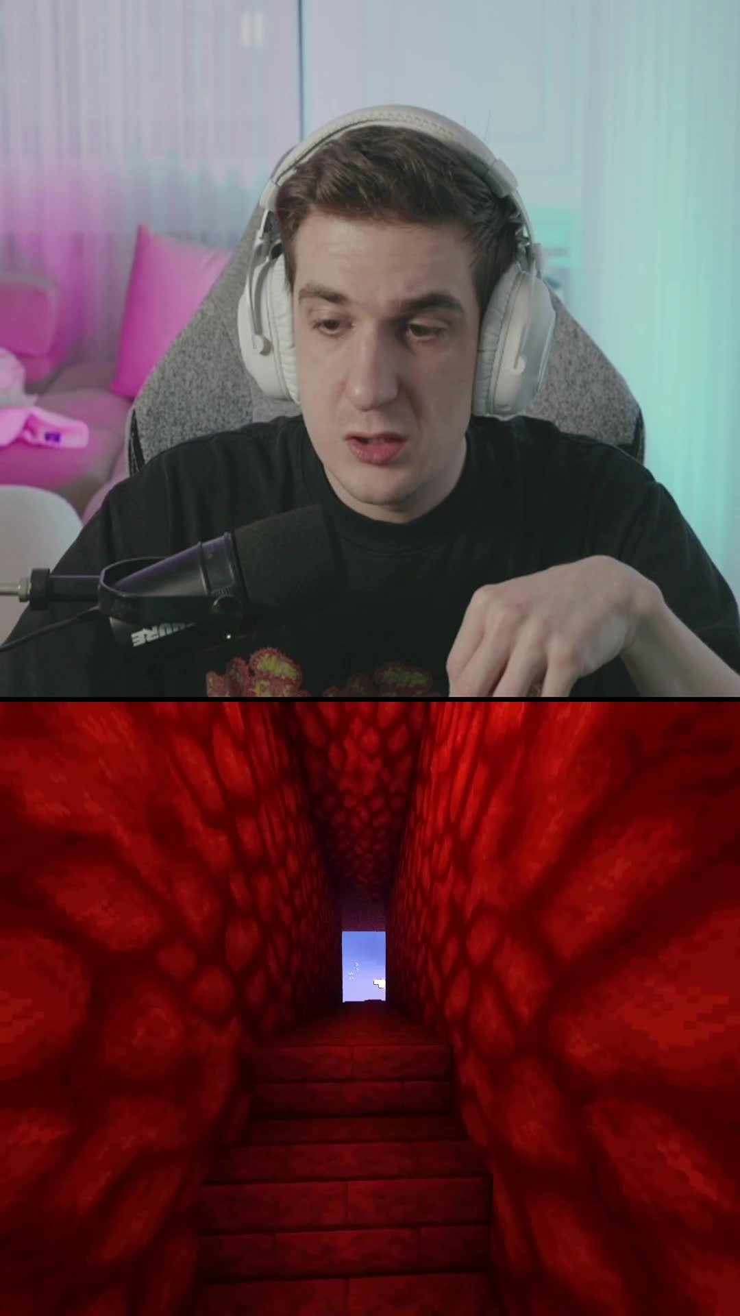 @Zavet
