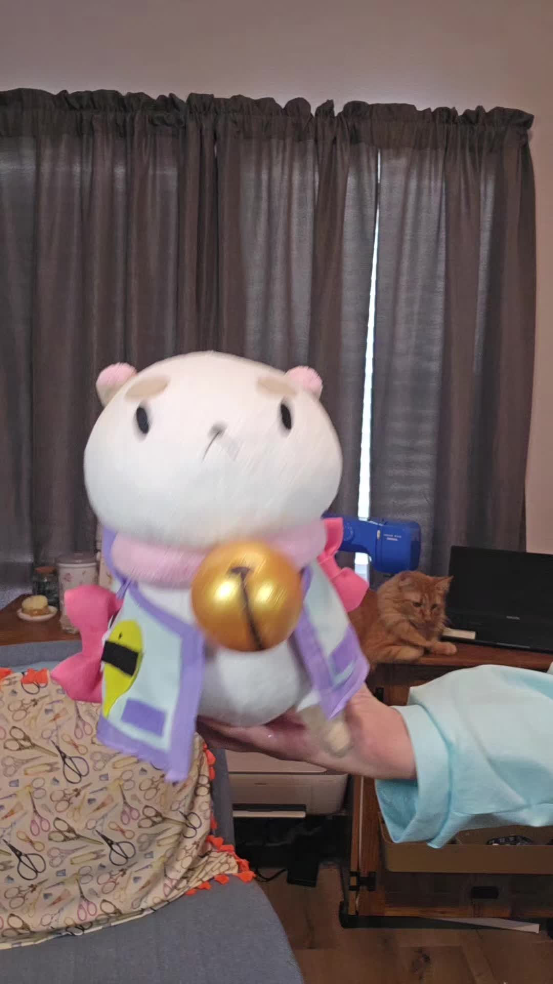 @Fluffy Tail Household