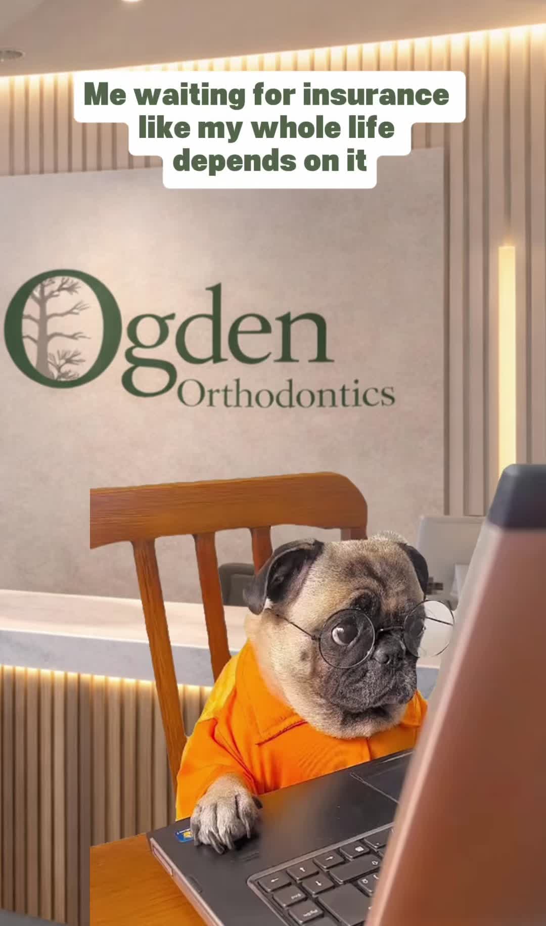 @OgdenOrthodontics
