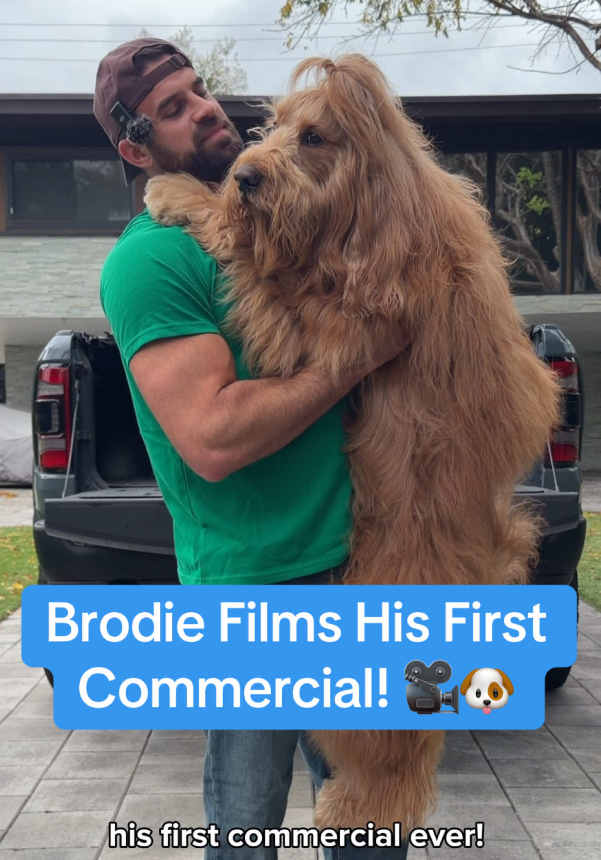 @Brodie The Goldendoodle