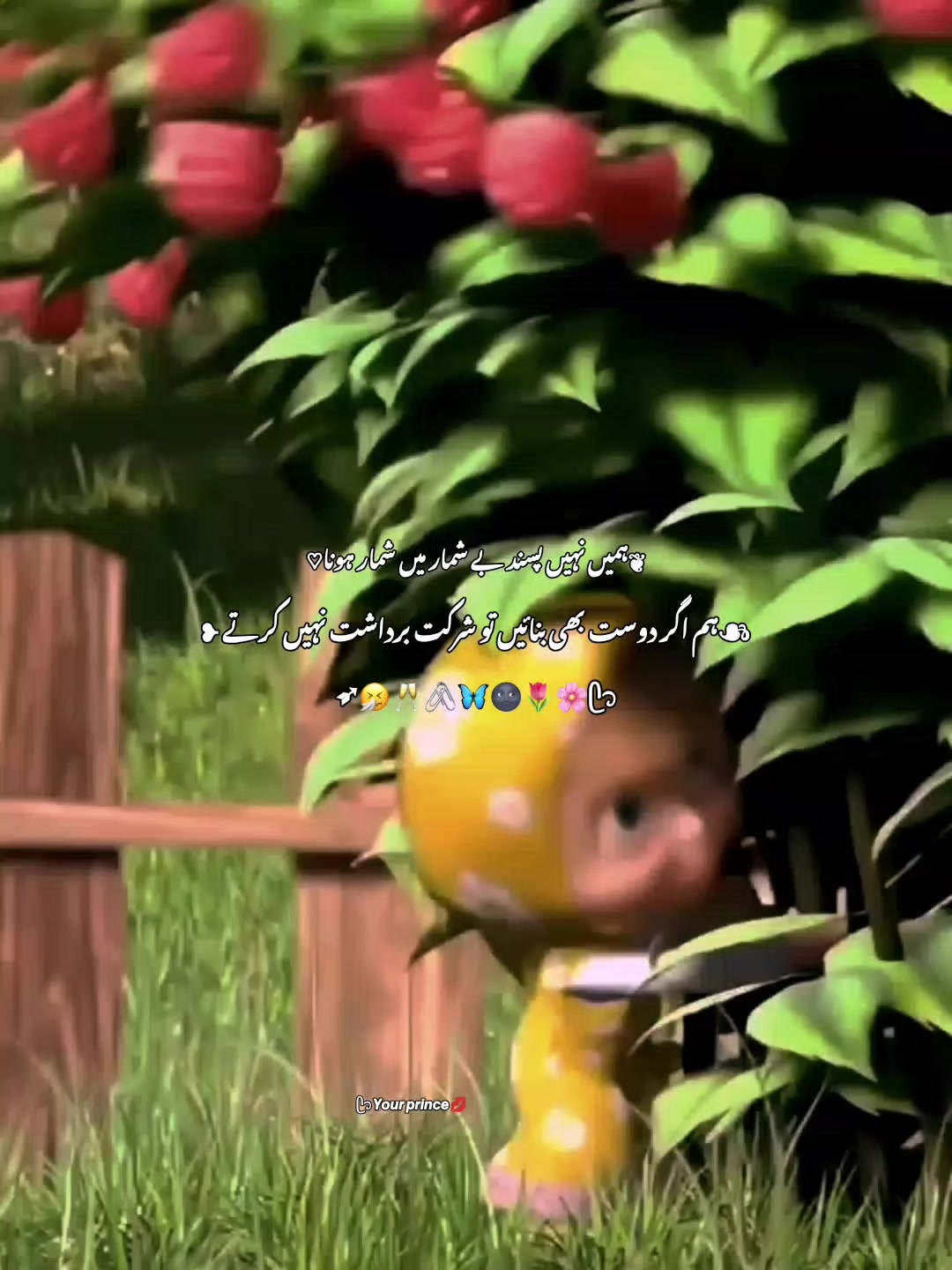 @โถ๐ฉ๐๐ถ๐ผ๐น ๐๐๐๐๐๐๐ชโฎโ๐ท