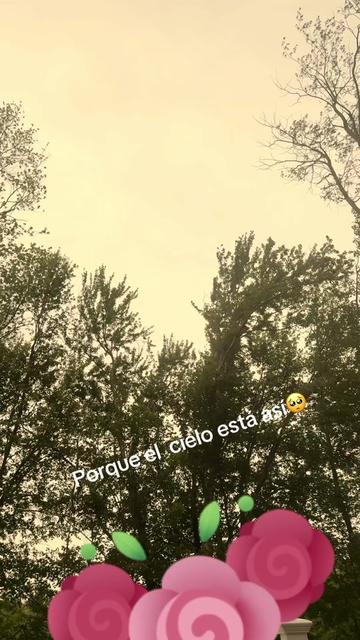 @Alicia
