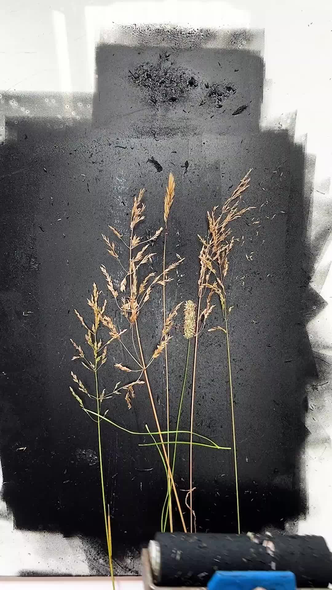 @Impressions of Nature