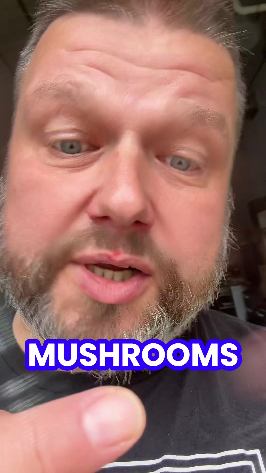 @The Mushroom Hub