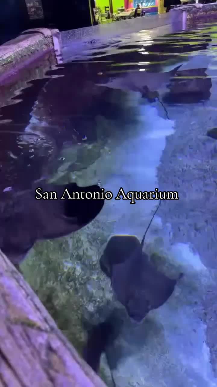 @Hubertcampbelltravels