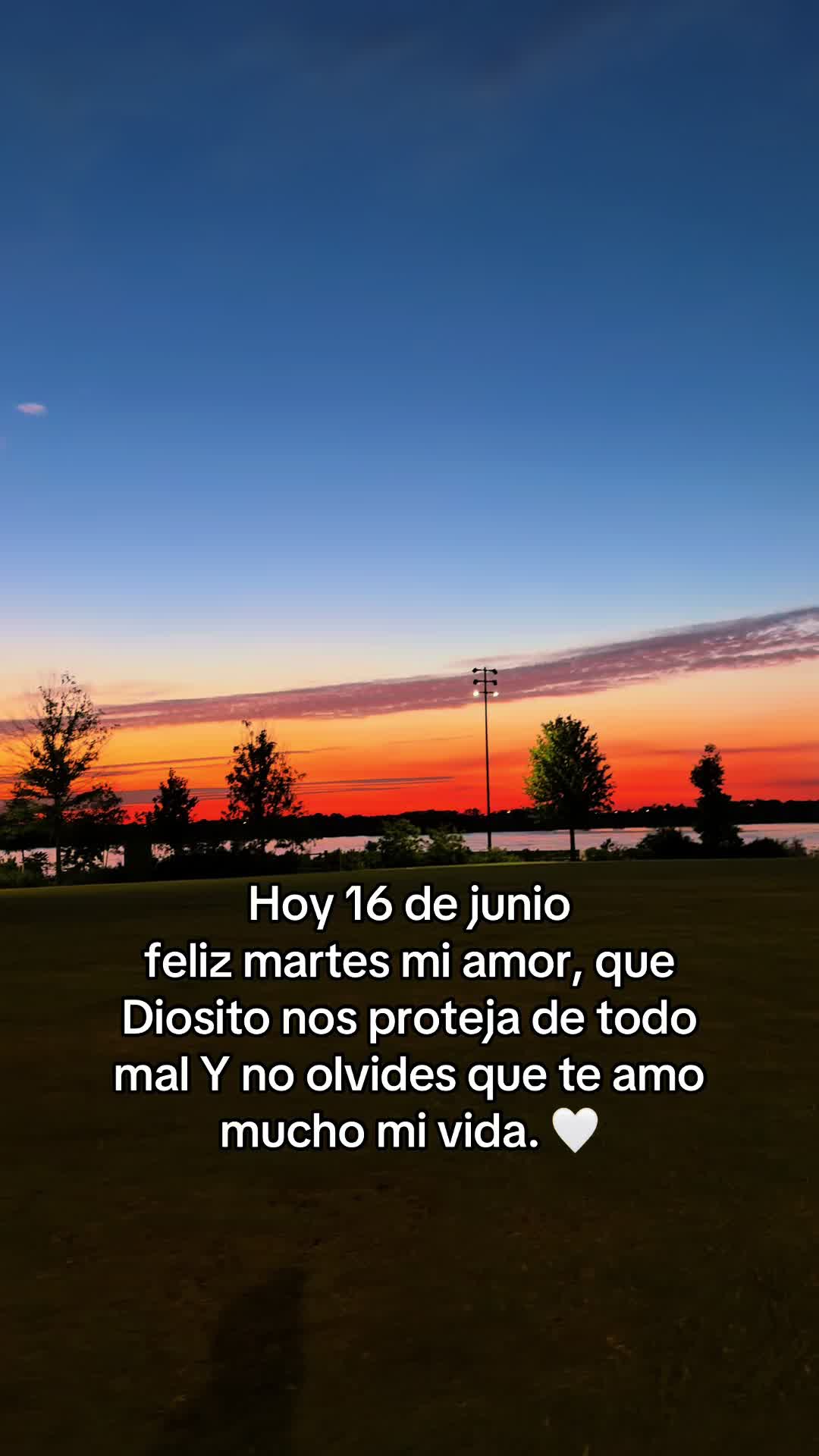 @rolitas502🇬🇹
