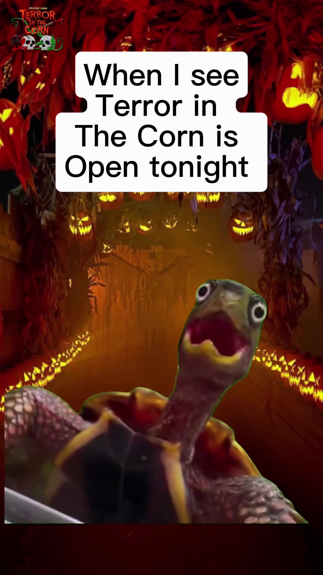 @TerrorintheCorn CO