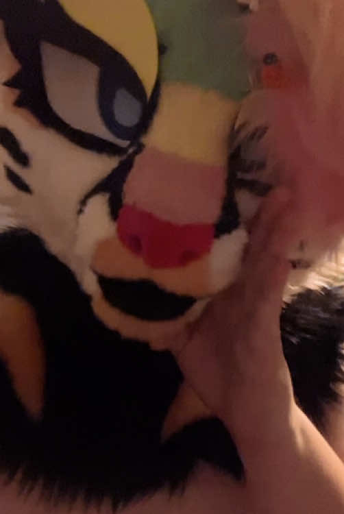 @Liger~Liger🐾🍉