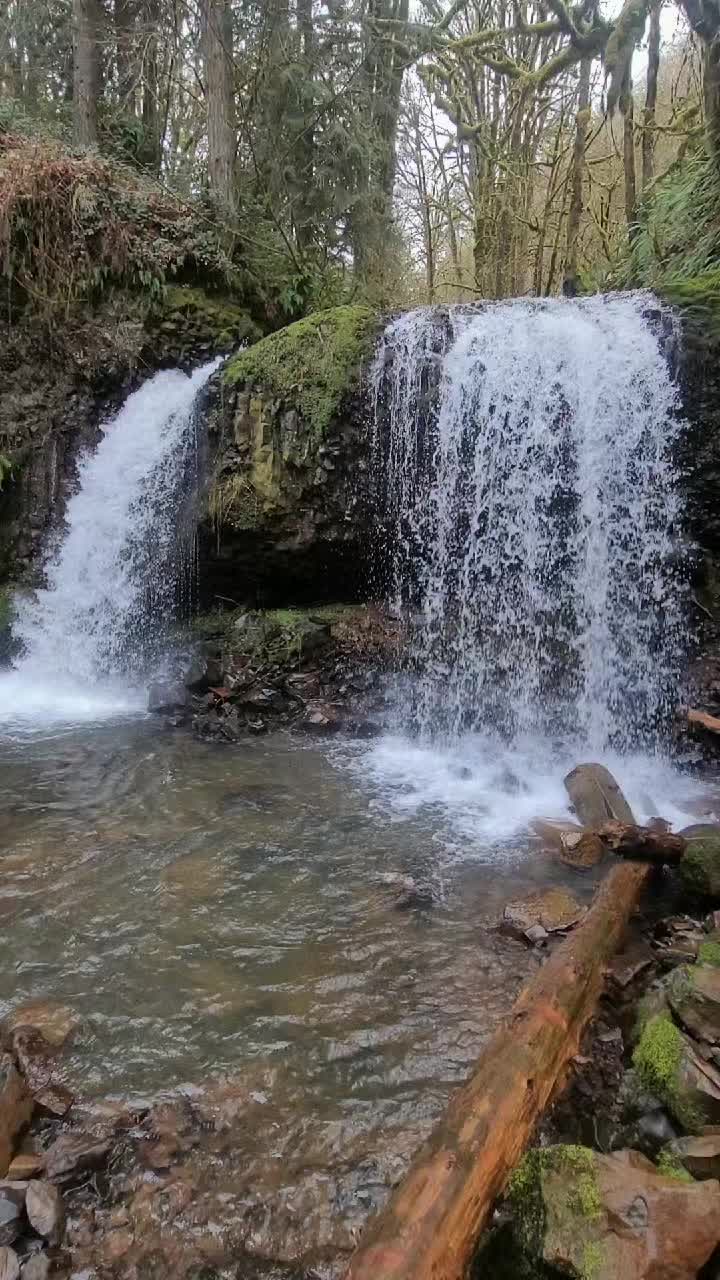 @Lindz loves nature
