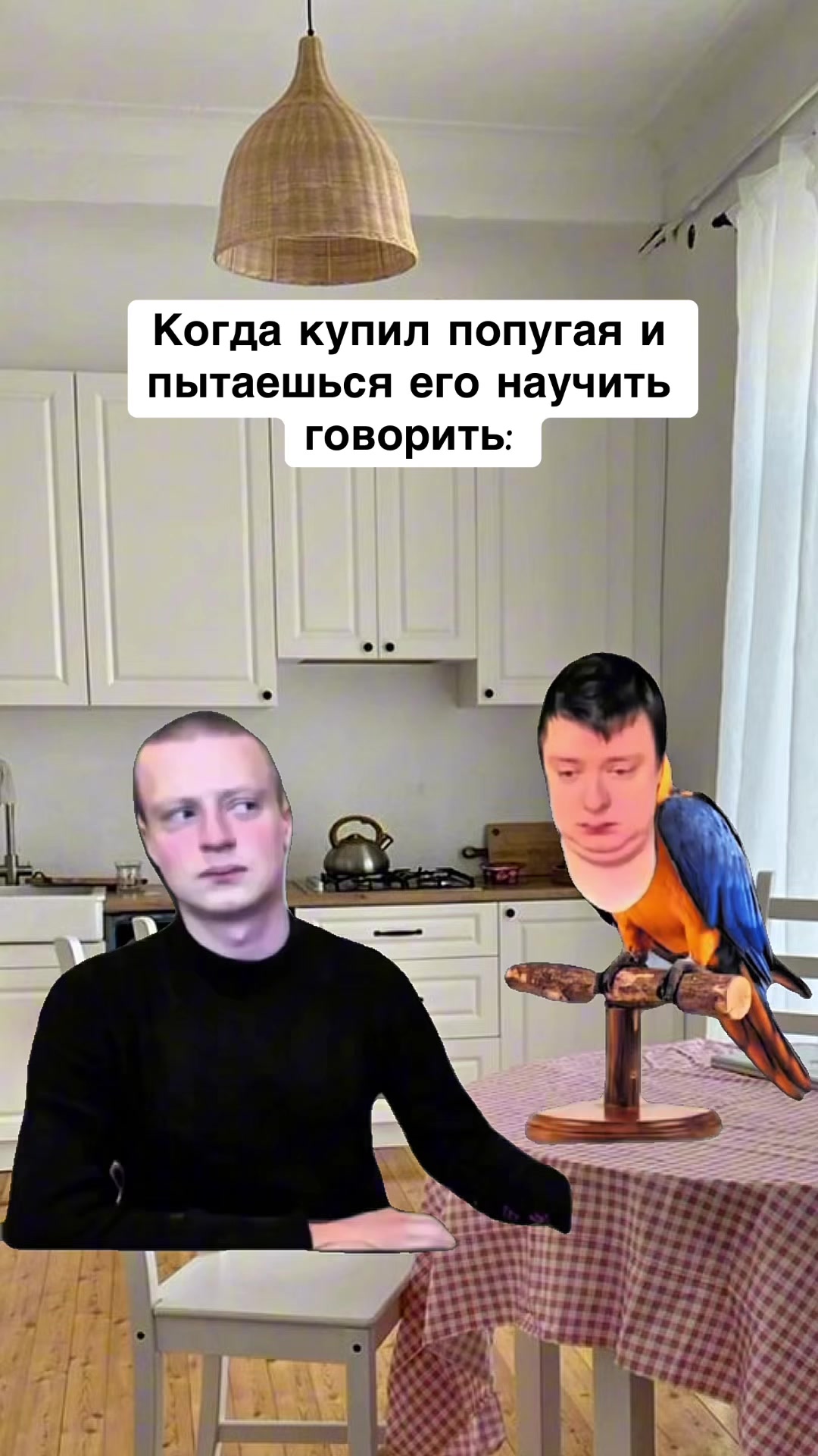 @opertivnik