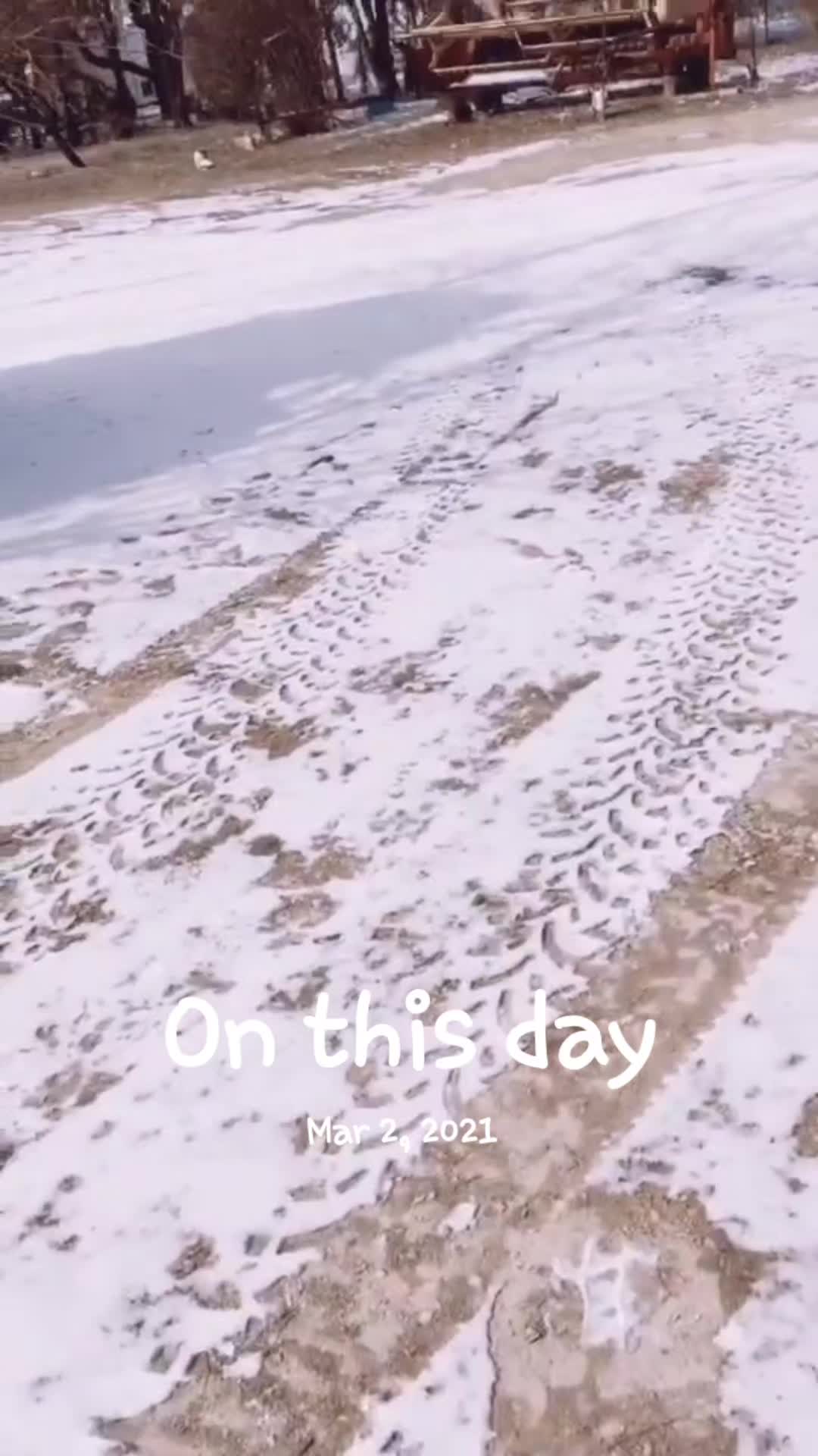 @lifeofS.R.R.Z