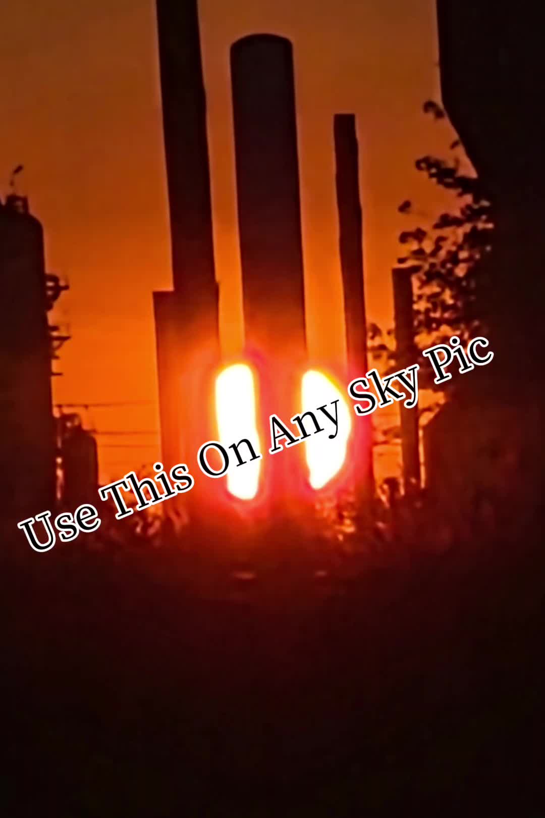 @goldfisheater17