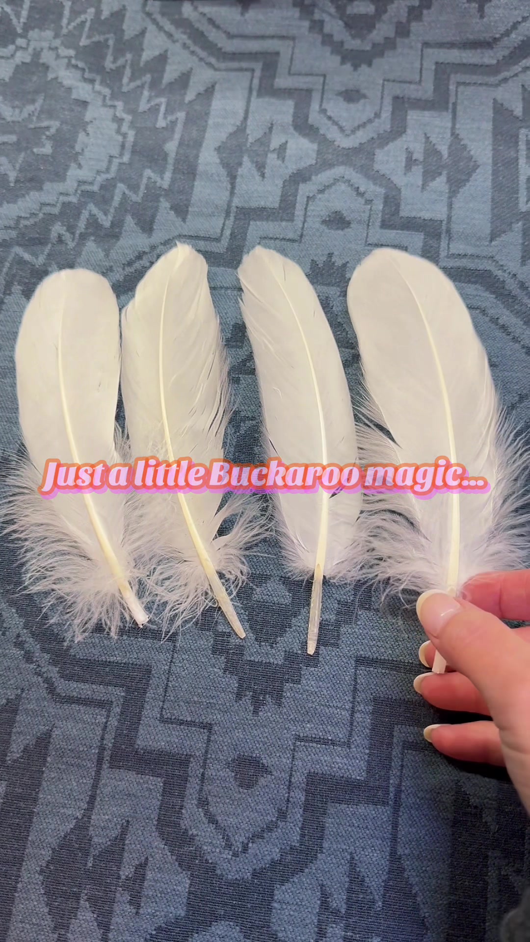 @BuckarooSupplyCo