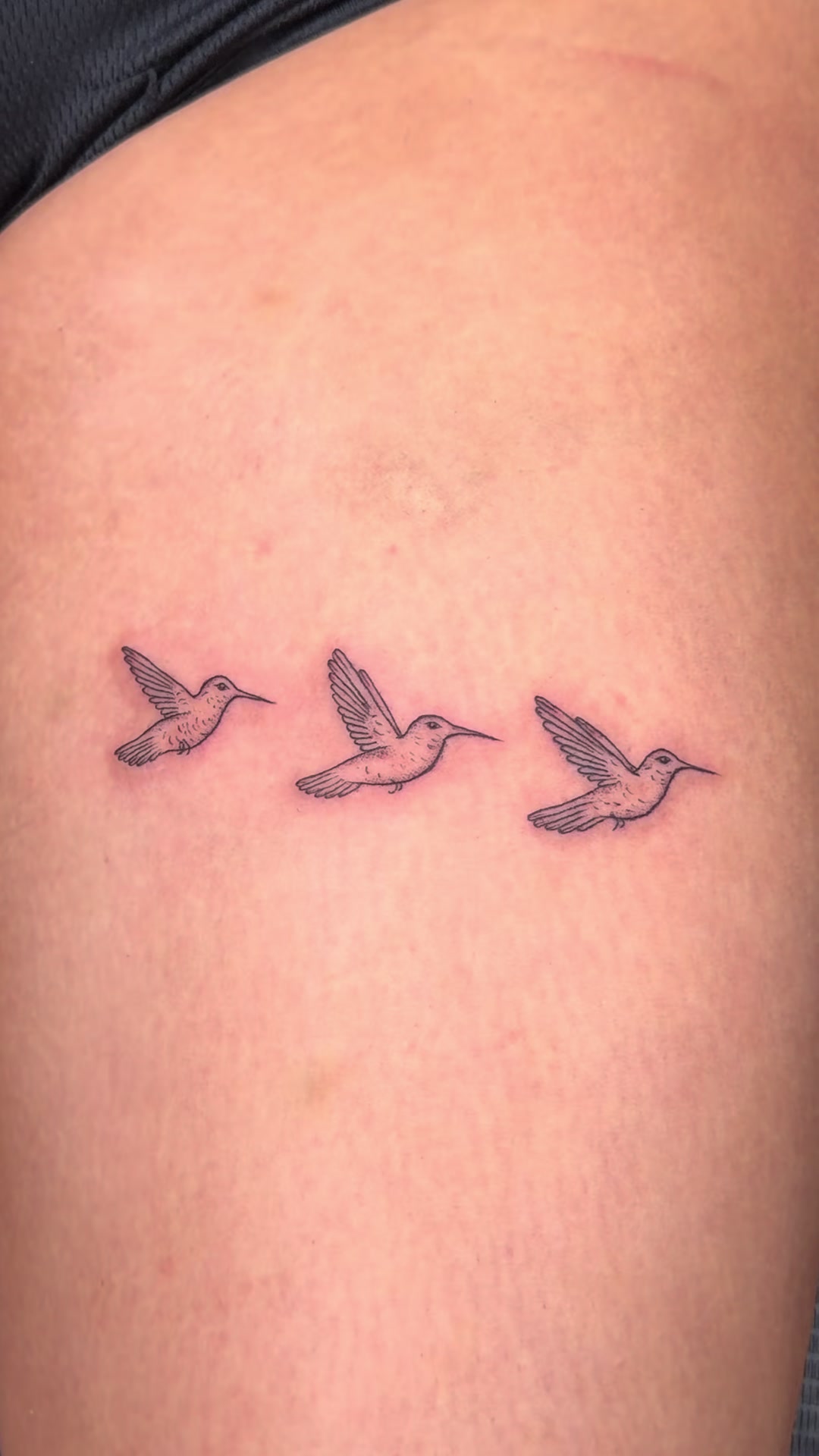 @fineline tattoo artist ❦