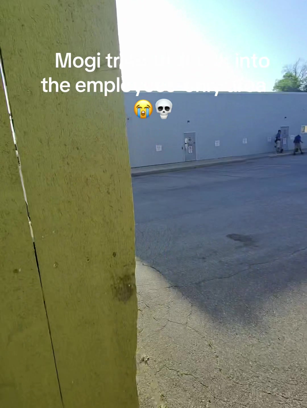 @Mogi