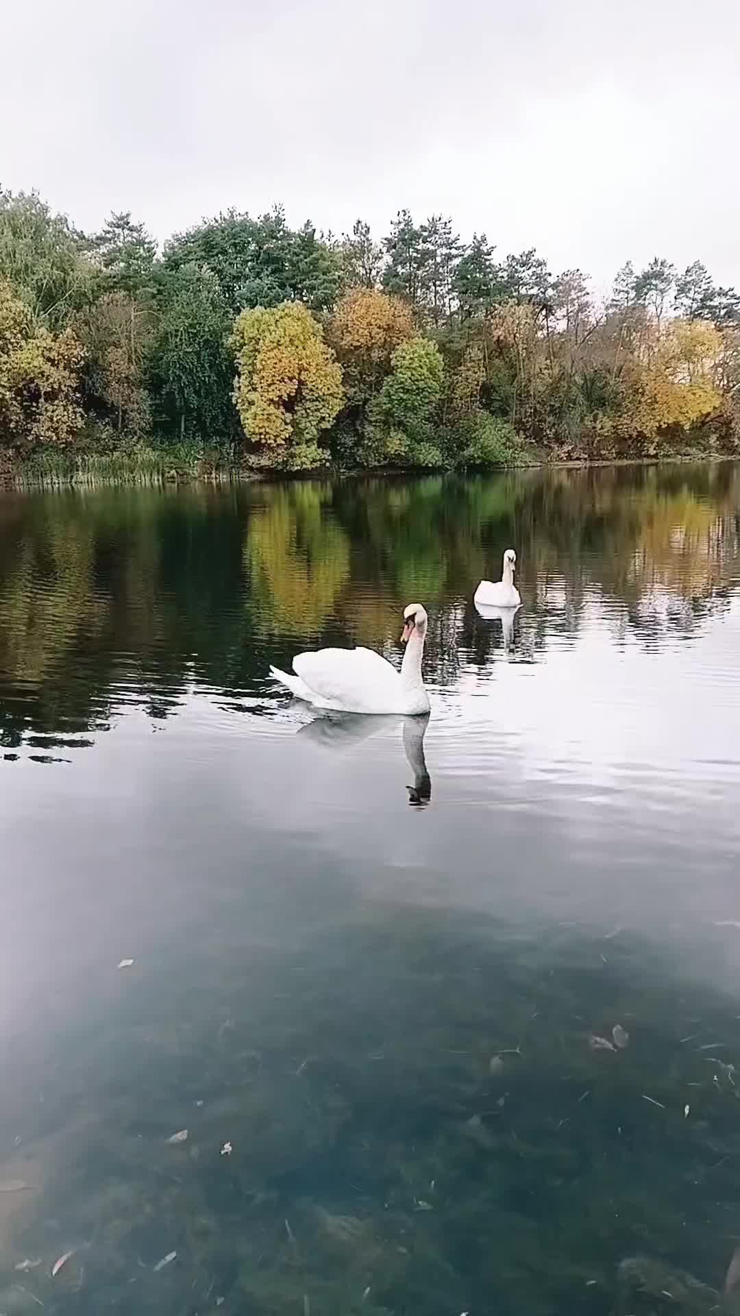 @o__oleksandr