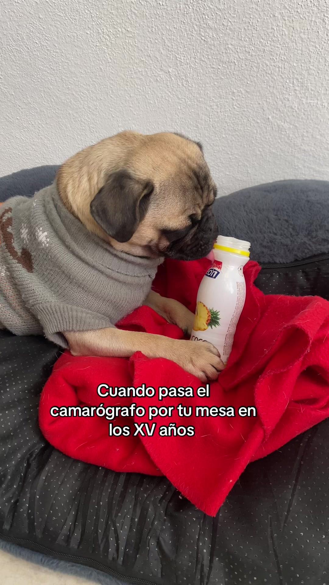 @Mayra🤍