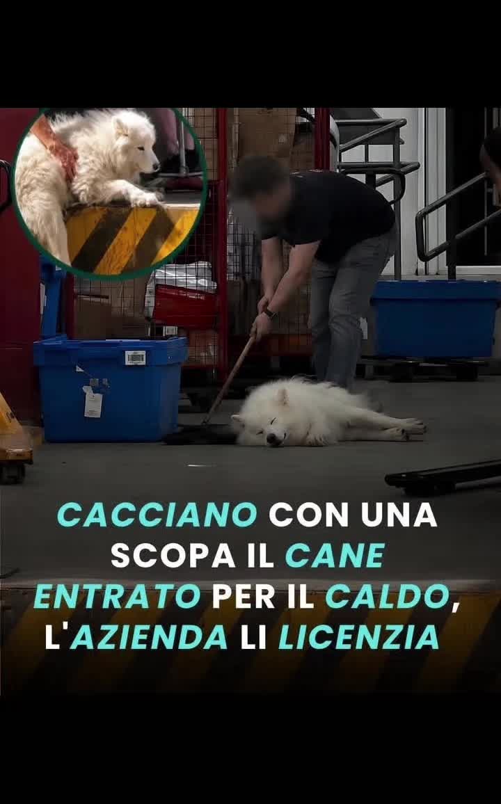 @Michele72☑️