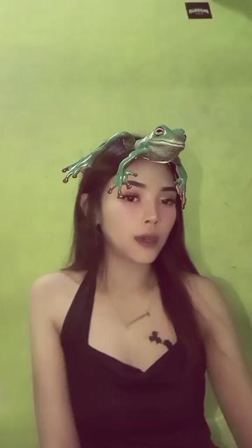 @wulann_stecu