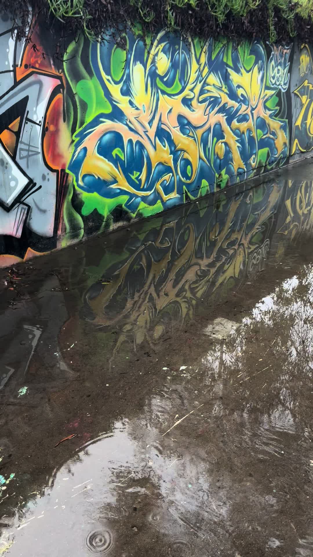 @Nsd.graffiti