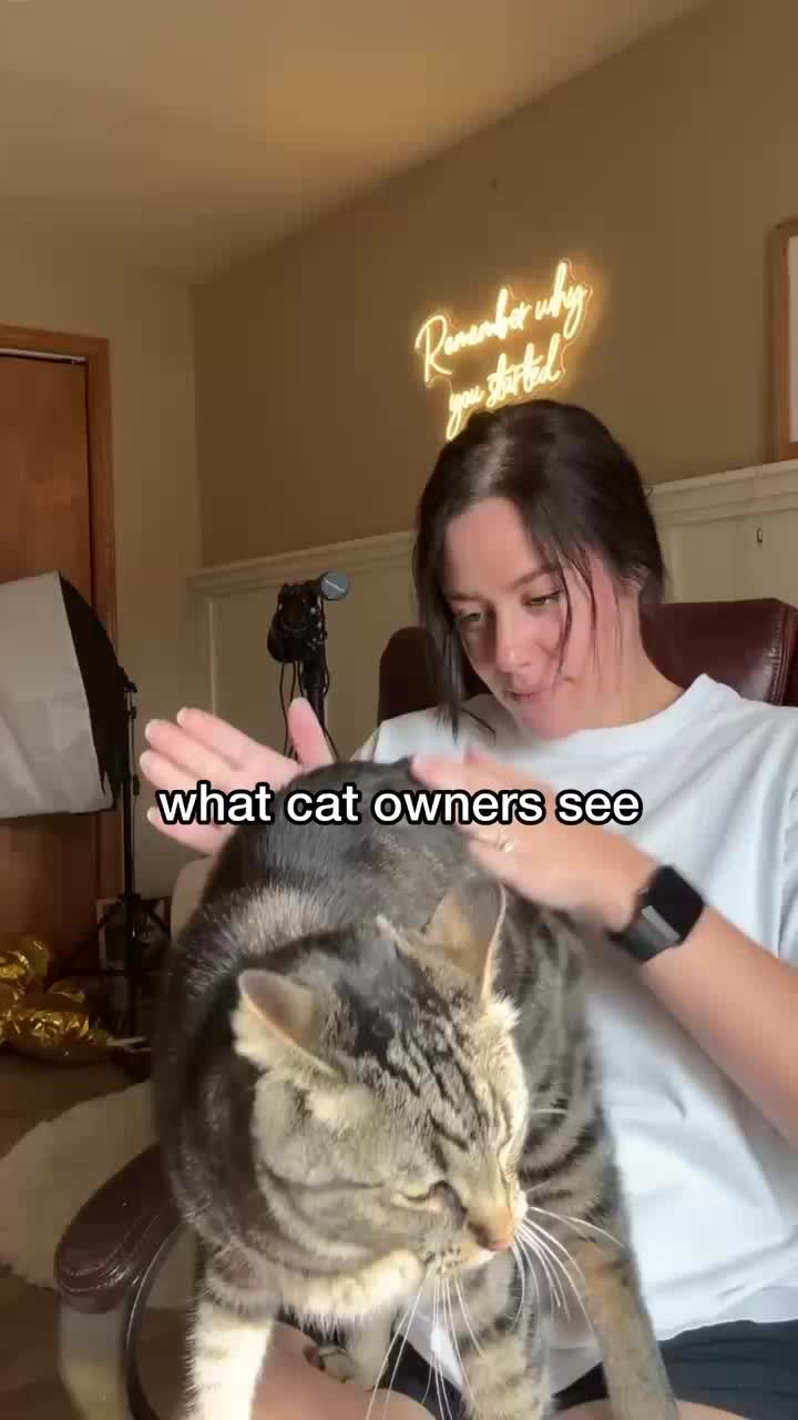 @Chip The Manx
