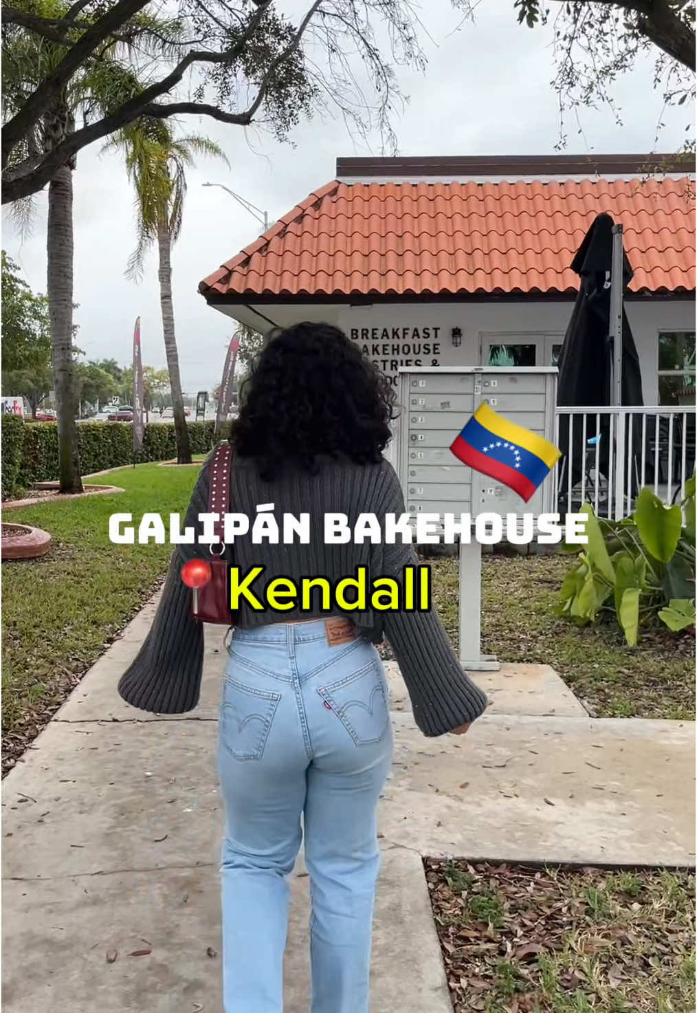 @Alexa R. Zogaib
