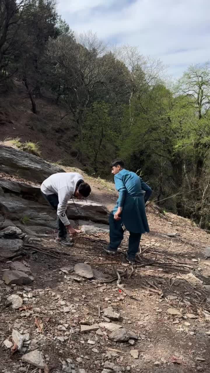 @🌲 sange_marjan ⛰️