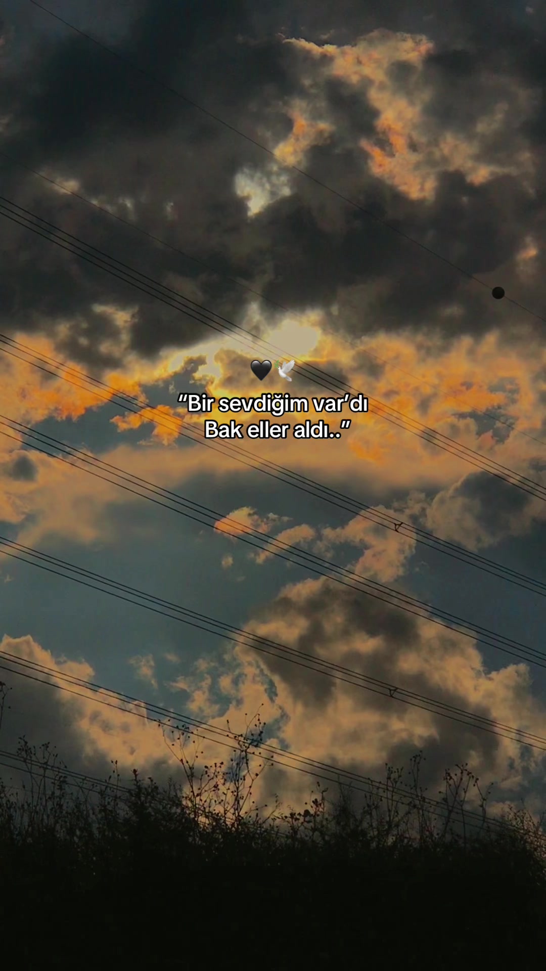 @𝑩&uuml;𝒏𝒚𝒂𝒎𝒊𝒏⚡️