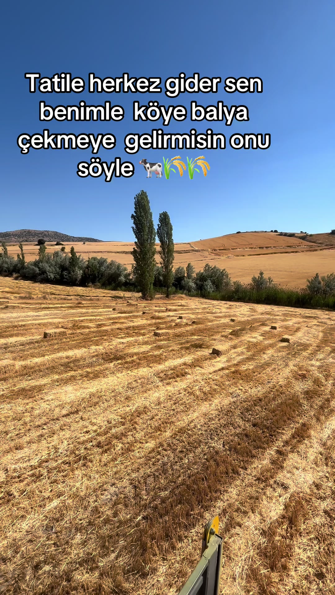 @erenzengin_5