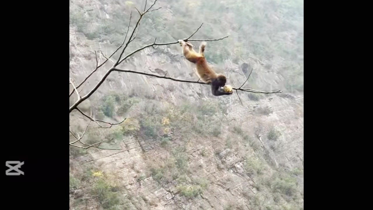 @liujiangyu