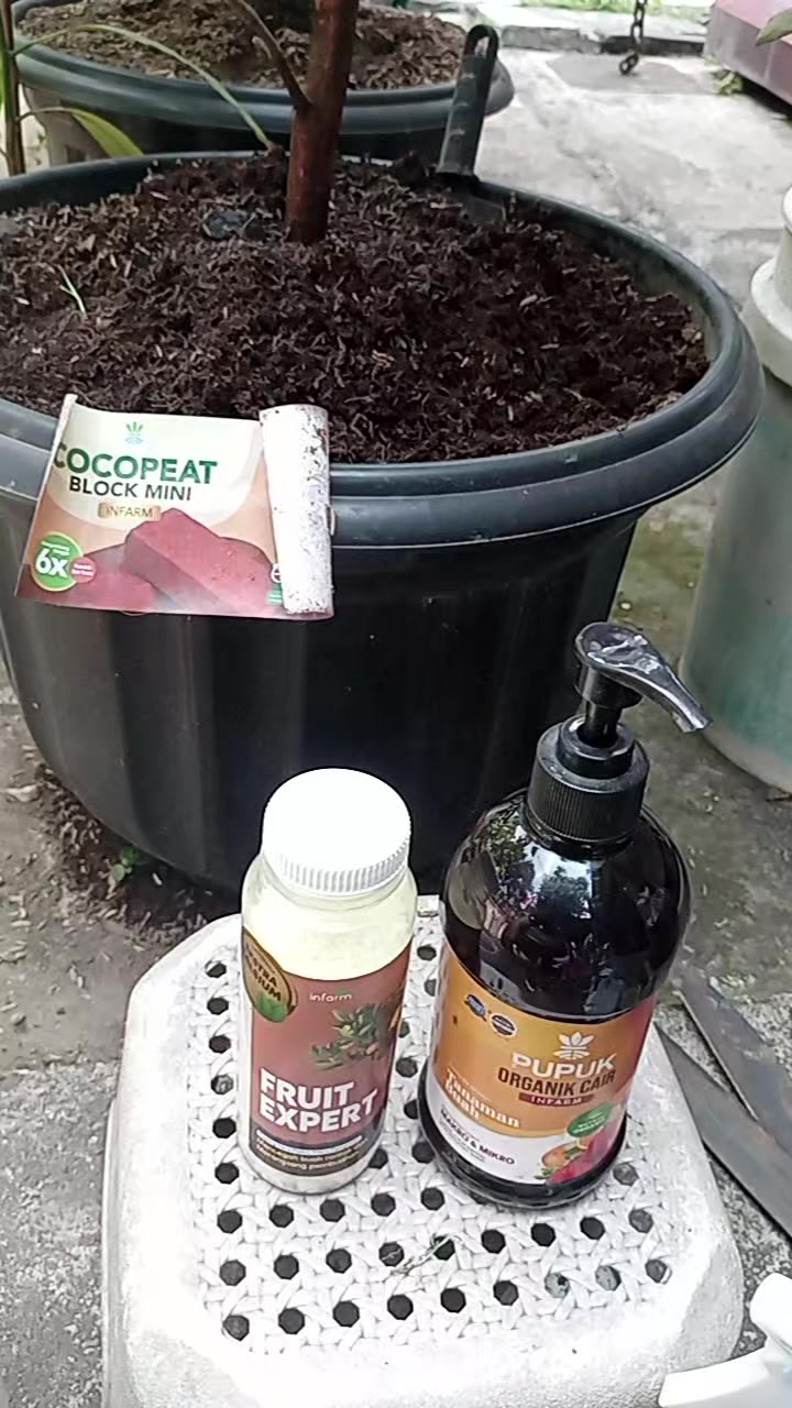 @Berkebun Berkah